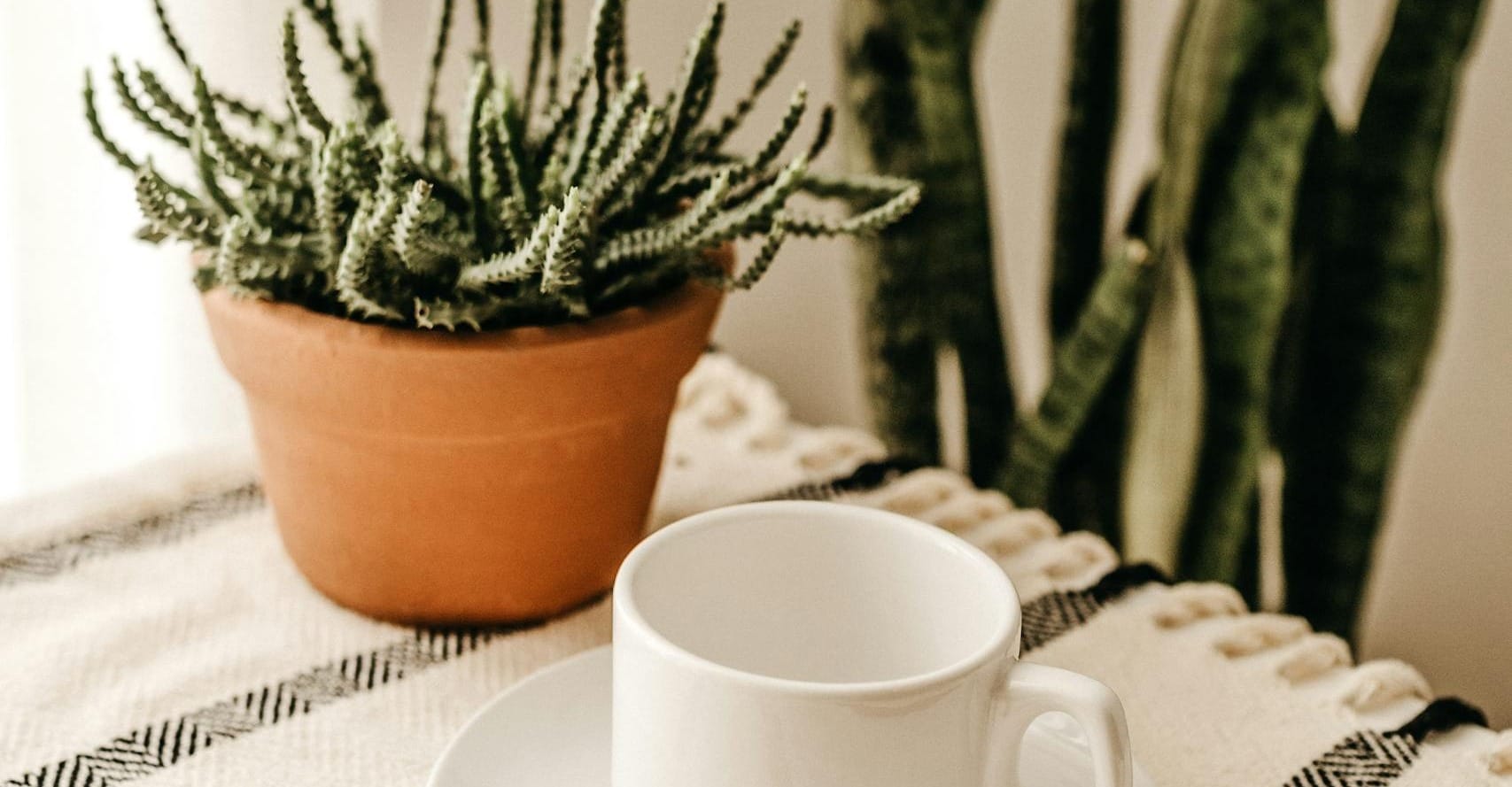 White Cup With Saucer