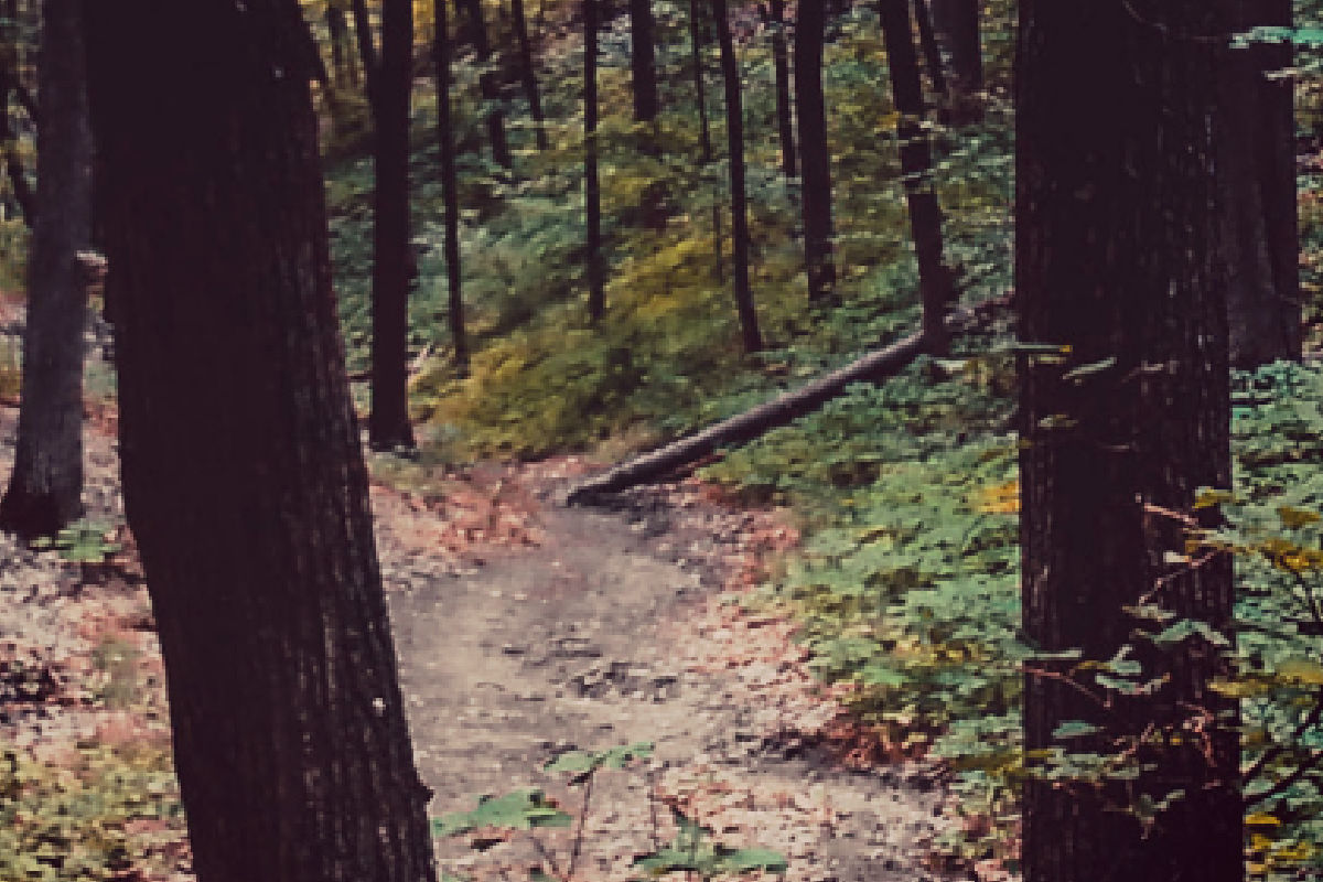 Dear Mom who wants to give her 5yearold a classical education