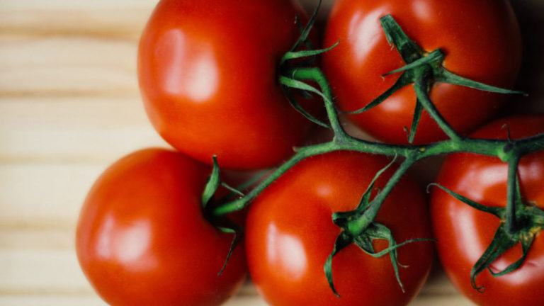 Simple, Easy Homemade Tomato Sauce — 100% pure tomatoes – Easy Recipe