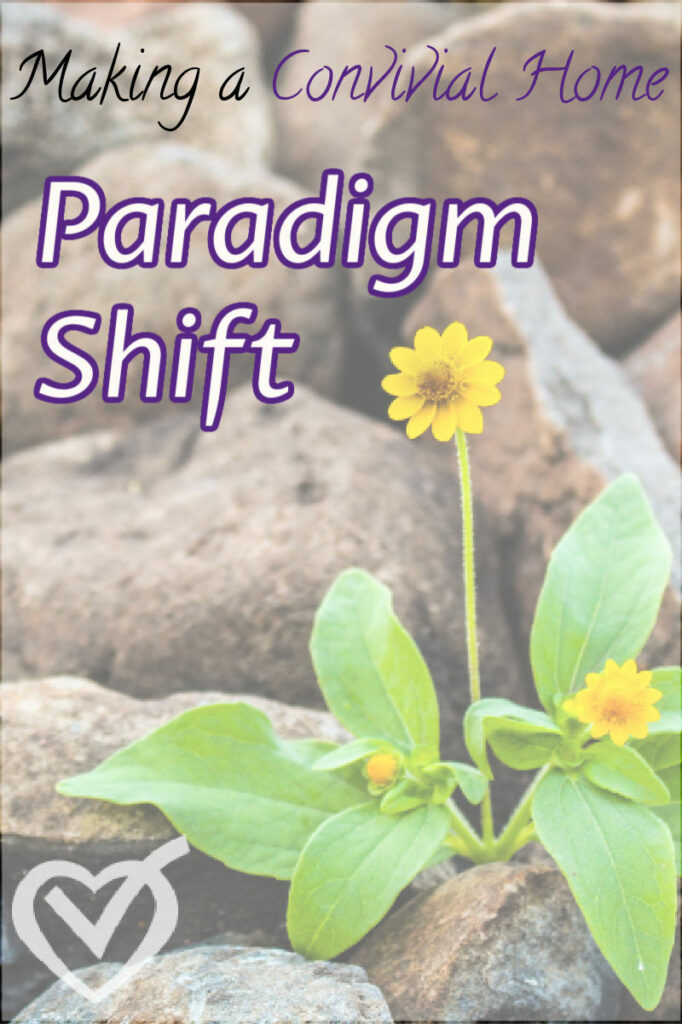 Convivial Home: Paradigm Shift