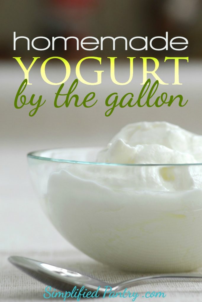 Homemade yogurt is simple and straightforward - and very frugal! Here's a straightforward way to make homemade yogurt without any special tools.