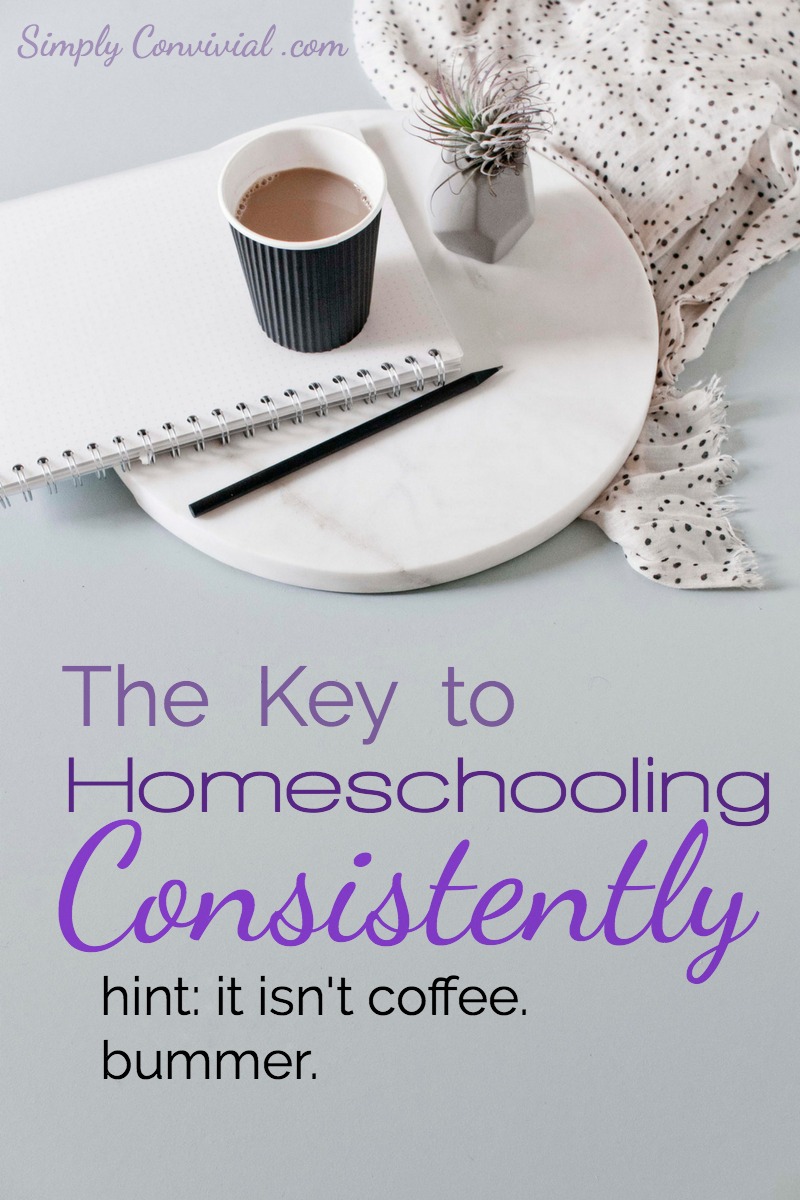 Want to know how to homeschool consistently? Here's a kick in the pants and a free download to help you in homeschooling consistently every morning!