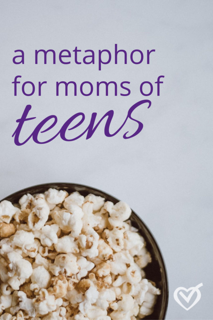 A metaphor for moms of teens